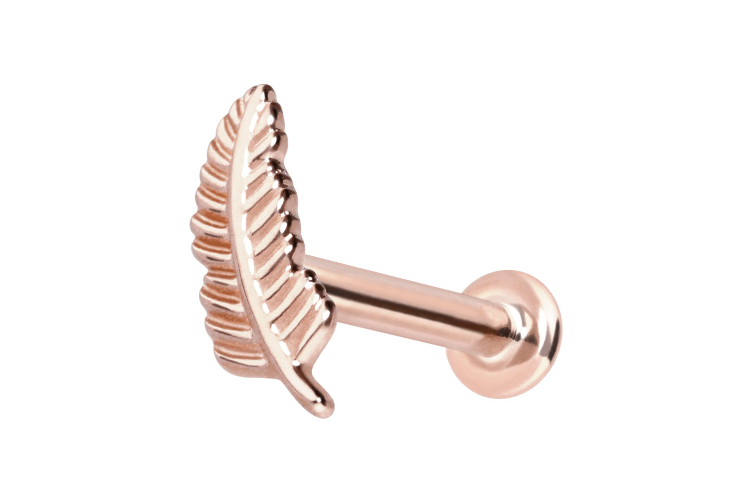14 Karat Gold Labret Piercing mit Push Fit FEDER